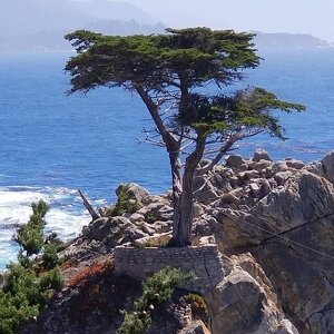 Fundraising Page: DEREK MOUSSEAU